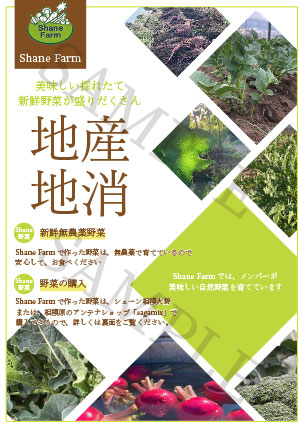 野菜販売のフライアー（サンプル）